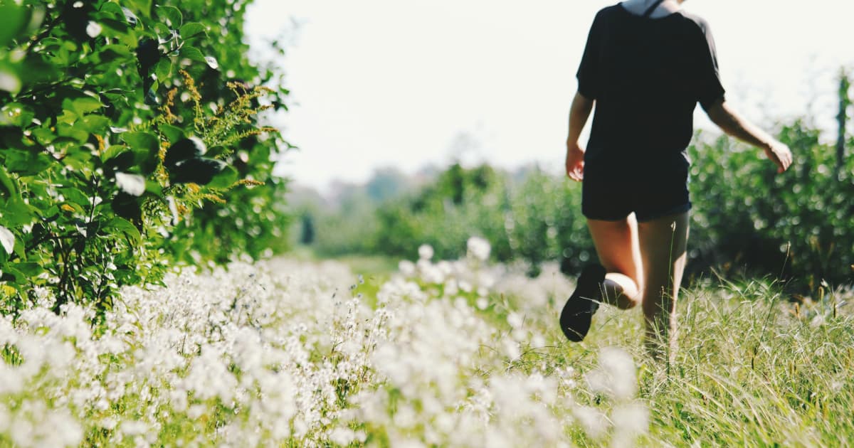 Educational Resource Explores Vagus Nerve Dysfunction and Systemic Health Impacts