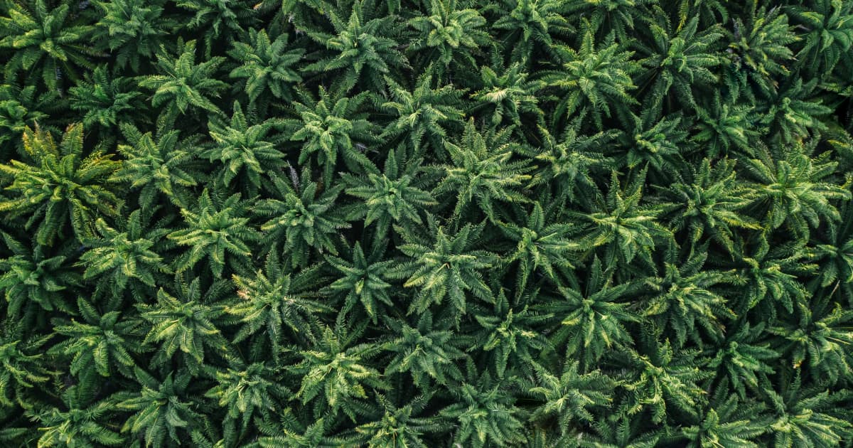 Perfect Union Director to Address Community Engagement at Morro Bay Seminar