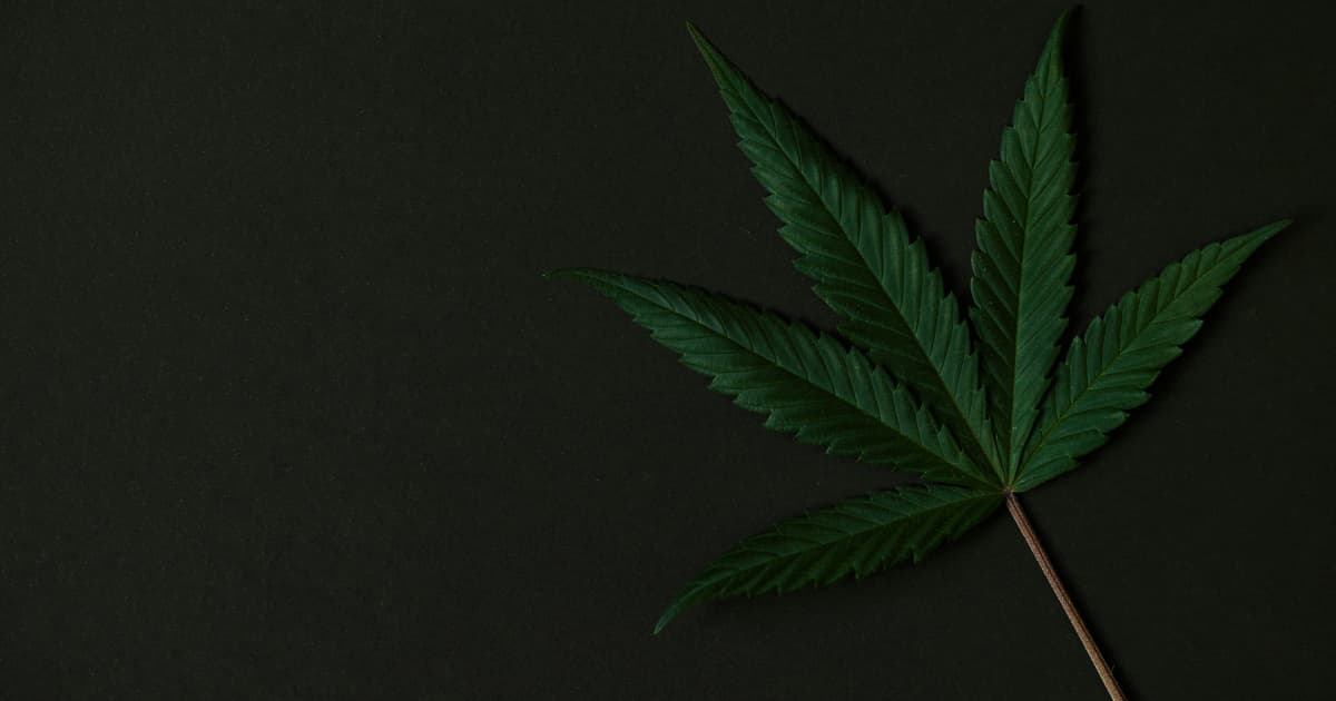 MWG Holdings Continues Partnership with Last Prisoner Project to Support Cannabis Justice Reform