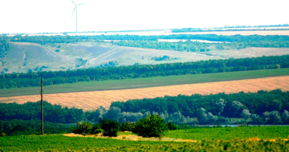 California Farmers Embrace Solar Power Amid Drought and Rising Costs