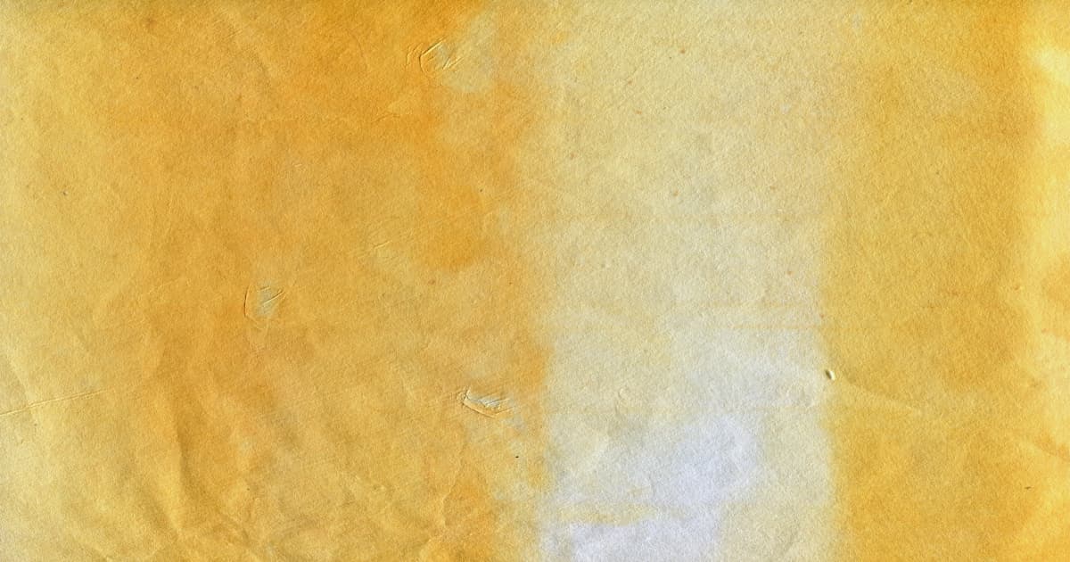 Mobility Solutions Transform Lives Through Accessibility Partnerships and Personal Stories