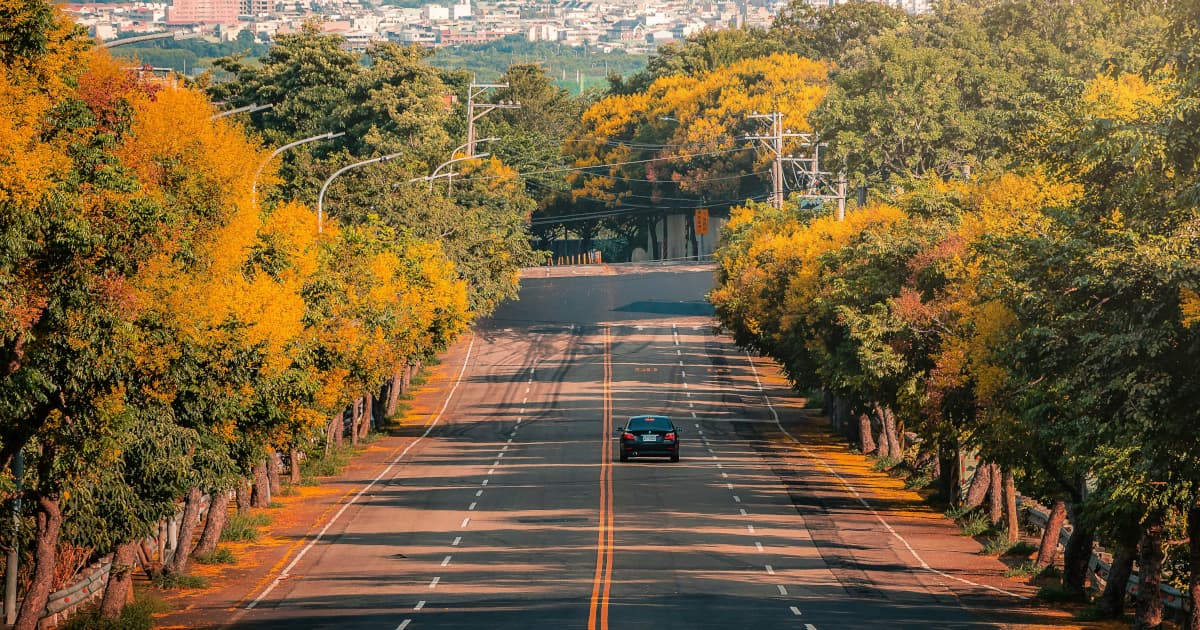 Viking Executive Retreat in Asia Combines Leadership Development with Cultural Immersion and Technology