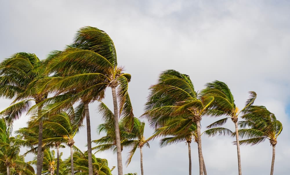 Coastal Commercial Real Estate Underwriting Faces 'Indefensible' Stable-Income Assumption, Expert Warns