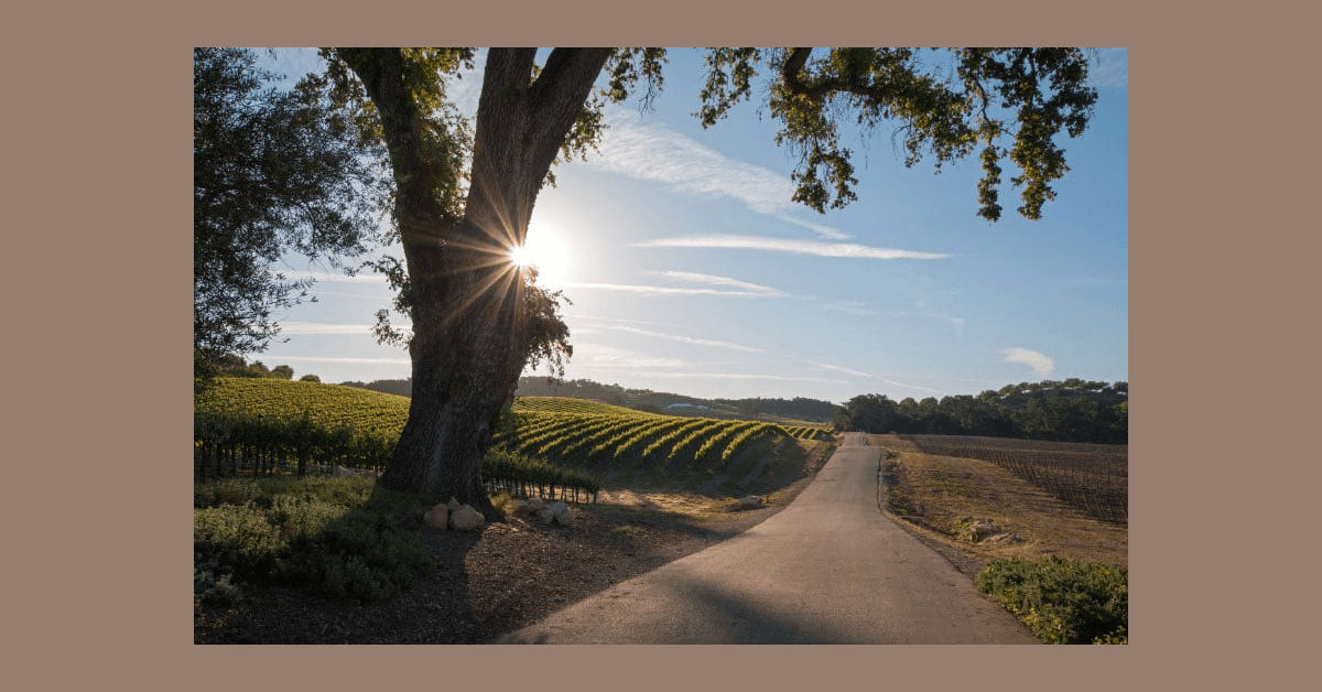 Attorney Andrew Conway Recognized as 2025 Super Lawyers Rising Star Following Significant Family Law Victories