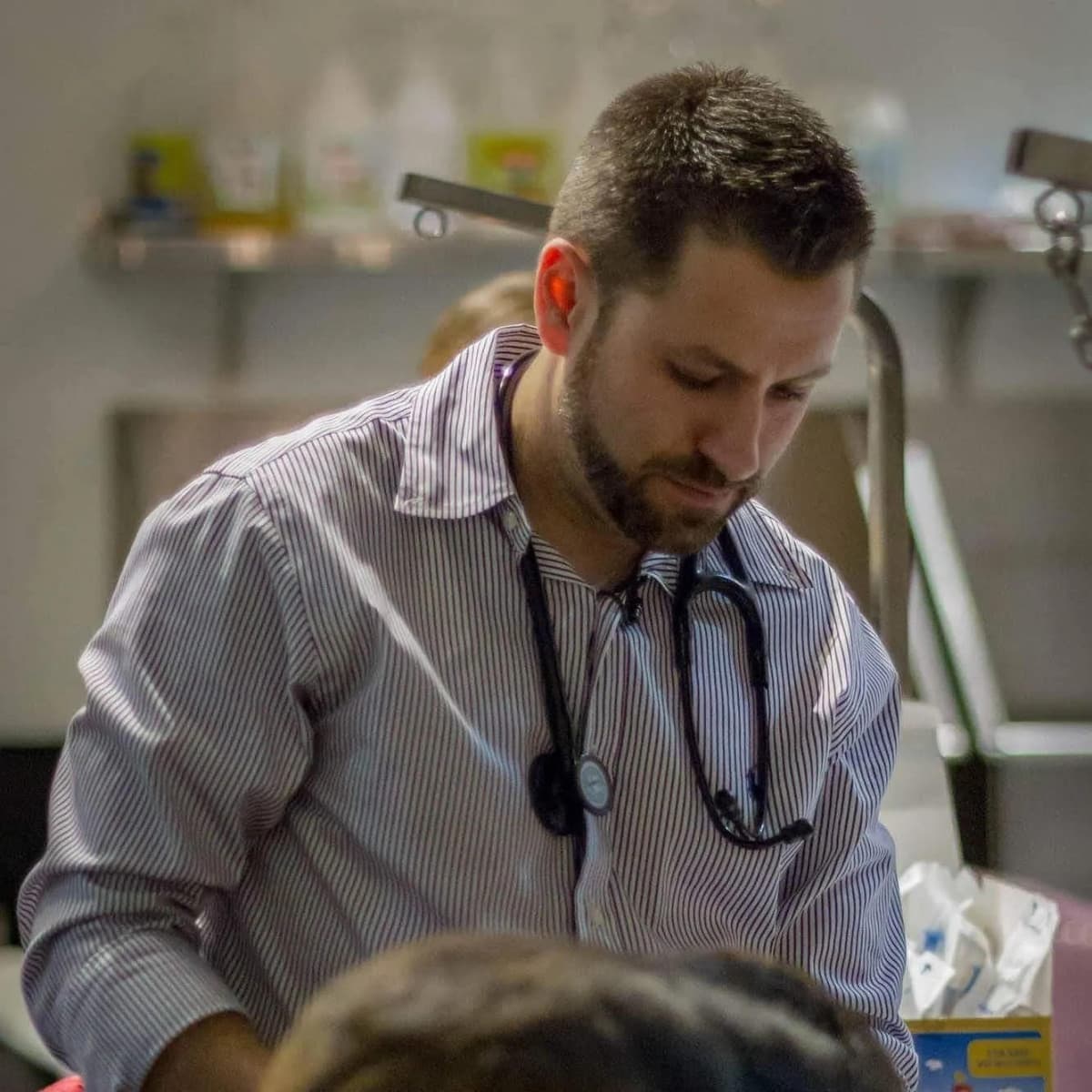 Governor Newsom Appoints Veterinarian Dr. Steve Manyak to California Veterinary Medical Board