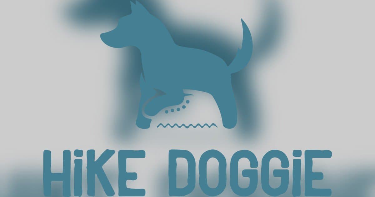 Denver Dog's 5-Star Yelp Review from Canine Perspective Goes Viral for Hike Doggie