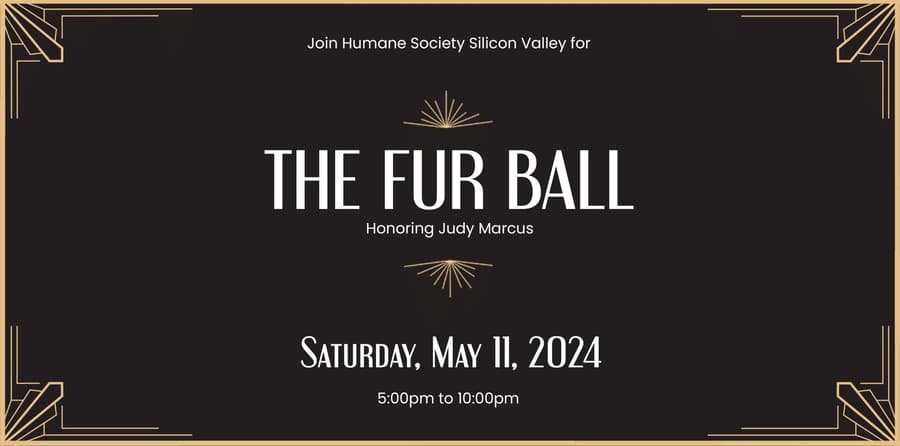 Humane Society Silicon Valley to Honor Judy Marcus at Annual Fur Ball Fundraiser