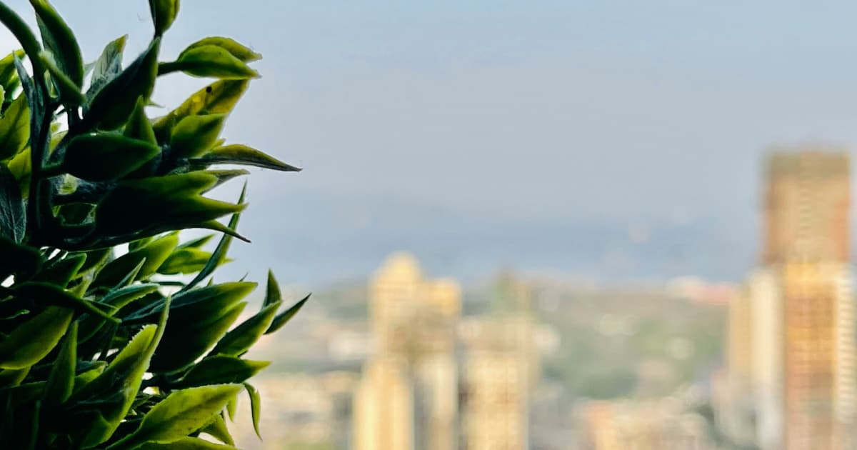 Sequoia National Park Rangers Remove 3,000 Illegal Cannabis Plants, Highlighting Environmental and Market Threats