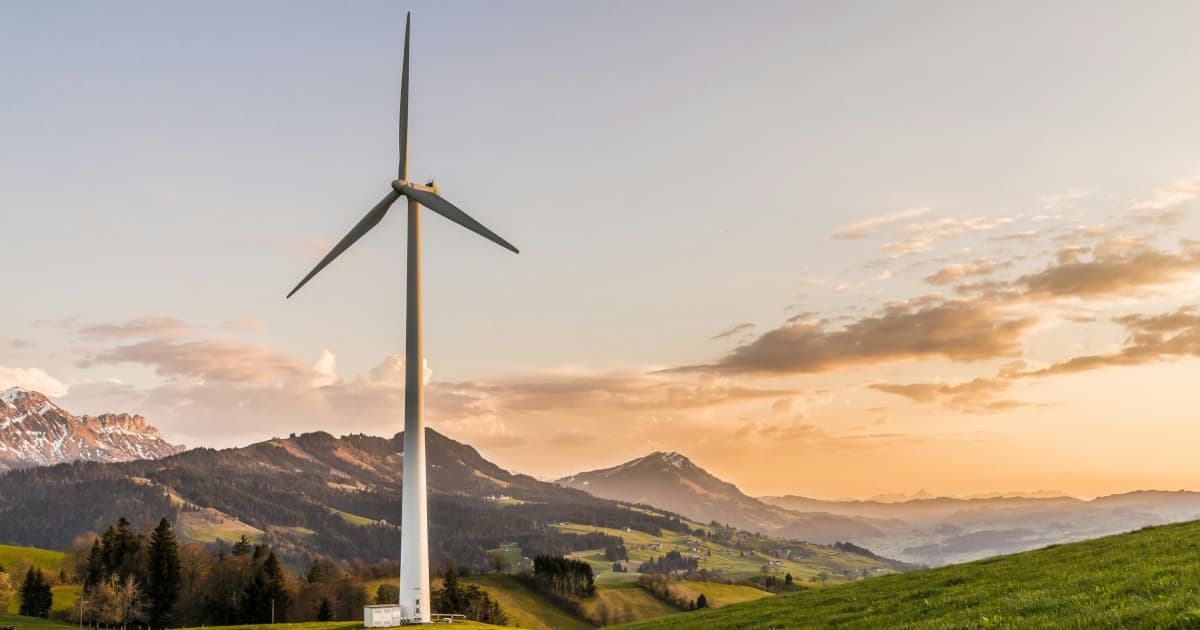 Mountain Valley Tree Service Expands Poison Oak Removal and Fire Prevention Services in Monterey County