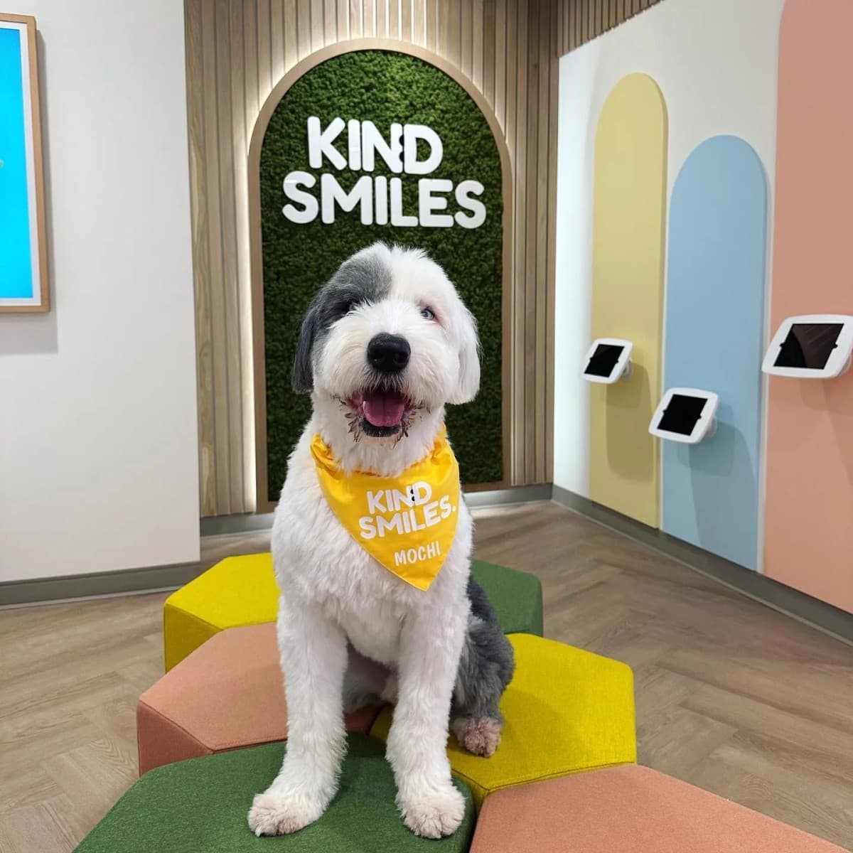 Kind Smiles Orthodontics and Pediatric Dentistry Publishes Guide to Help Families Evaluate Orthodontic Care Options