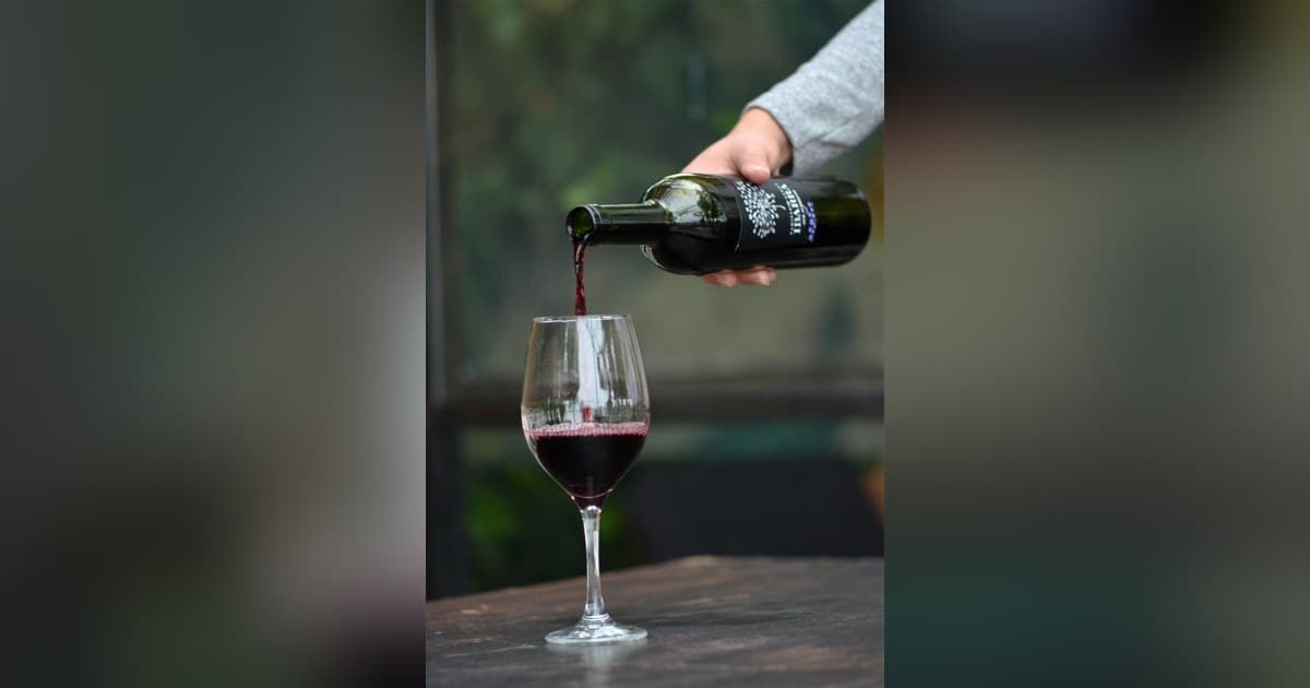 10Musica Releases Updated Wine Calorie Guide Ahead of Holiday Season, Offering Data-Driven Insights for Mindful Drinking