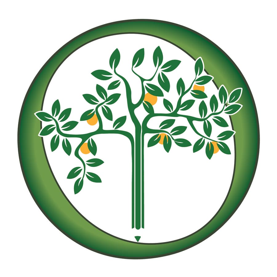 Orchard Home Design's Integrated Approach Transforms Home Remodeling in Campbell