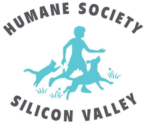 Humane Society Silicon Valley Marks 95 Years of Innovation in Animal Welfare